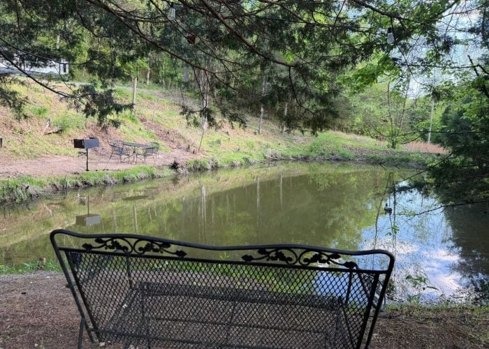 A metal bench faces a calm pond surrounded by trees, with a picnic table and grill visible across the water under a partly cloudy sky.
